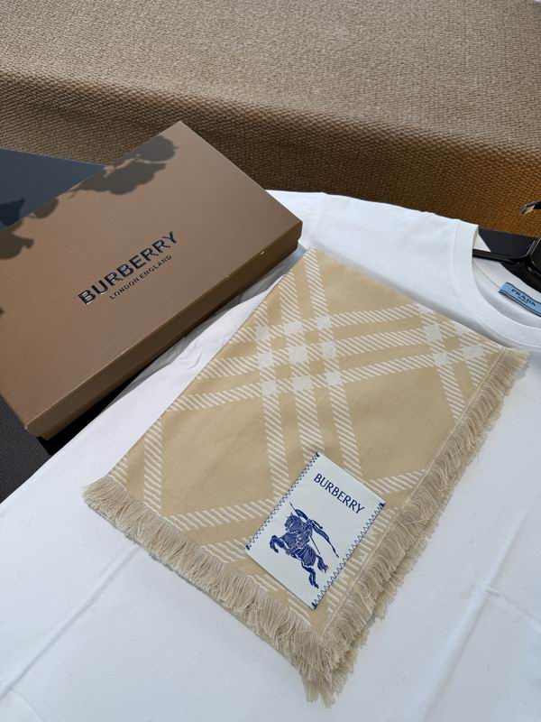 Burberry scarf 200X65cm 70%羊毛30%真丝 E37 (6)