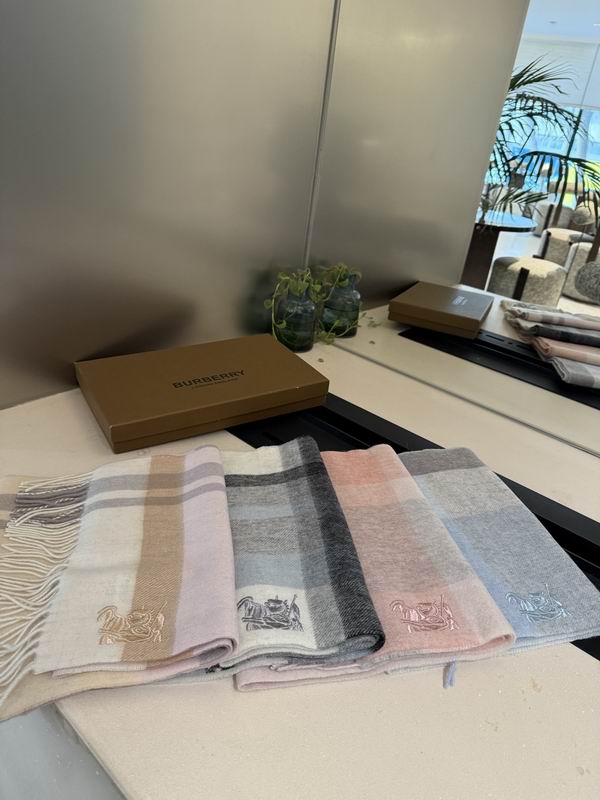Burberry scarf 30X180cm E02 (1)