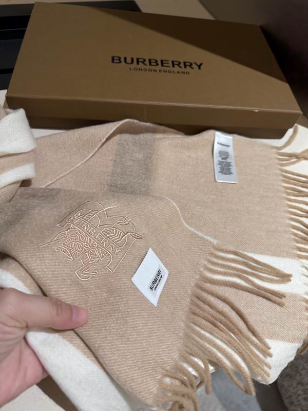 Burberry scarf 30X180cm E08 (1)