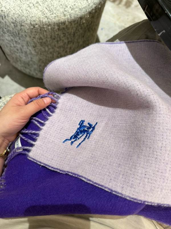 Burberry scarf 30X180cm E49 (4)