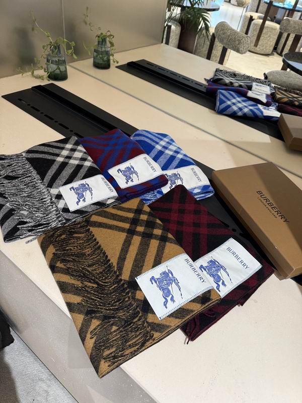 Burberry scarf 32X192cm E04 (1)