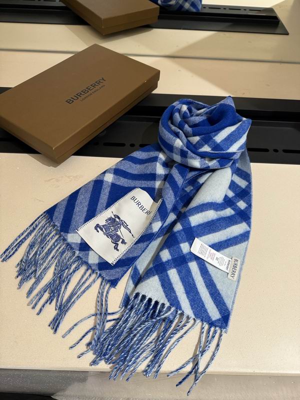 Burberry scarf 32X192cm E04 (10)
