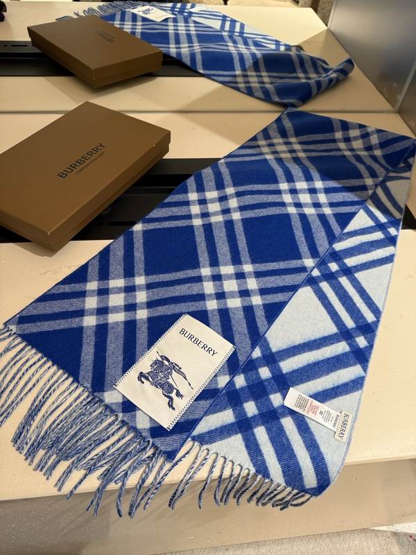 Burberry scarf 32X192cm E04 (11)