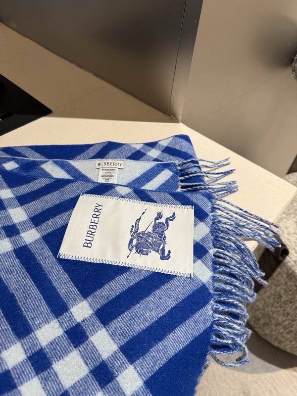 Burberry scarf 32X192cm E04 (12)