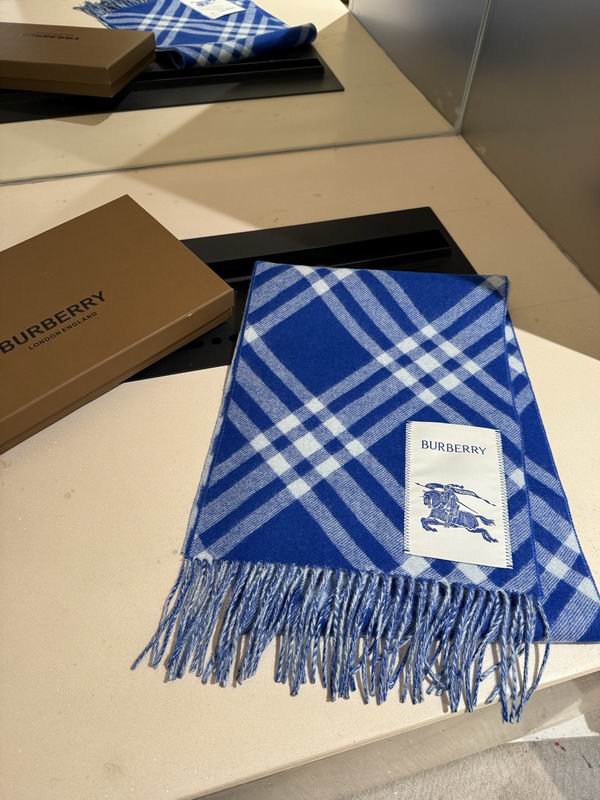 Burberry scarf 32X192cm E04 (13)