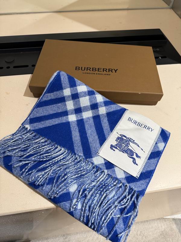 Burberry scarf 32X192cm E04 (14)