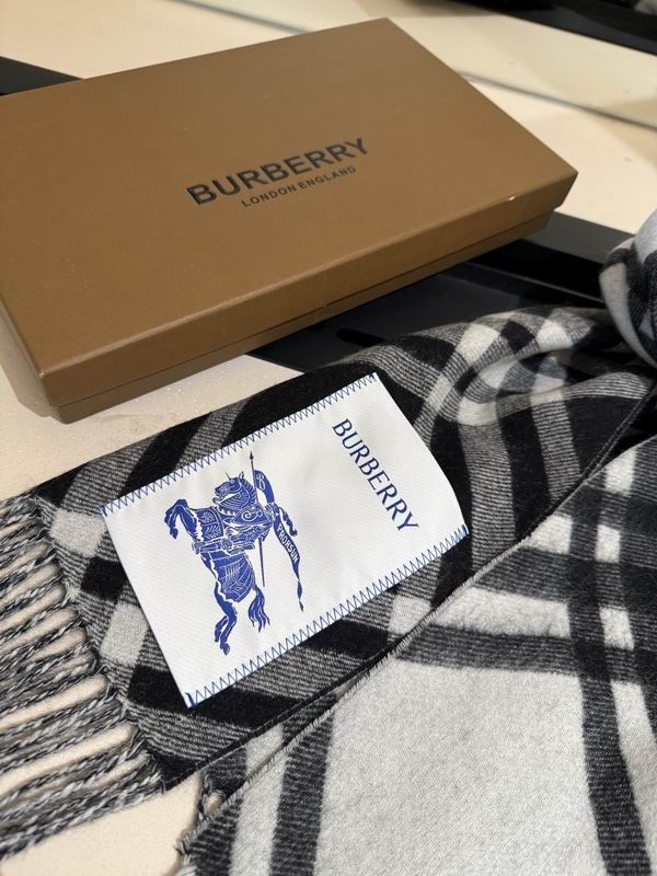 Burberry scarf 32X192cm E04 (2)