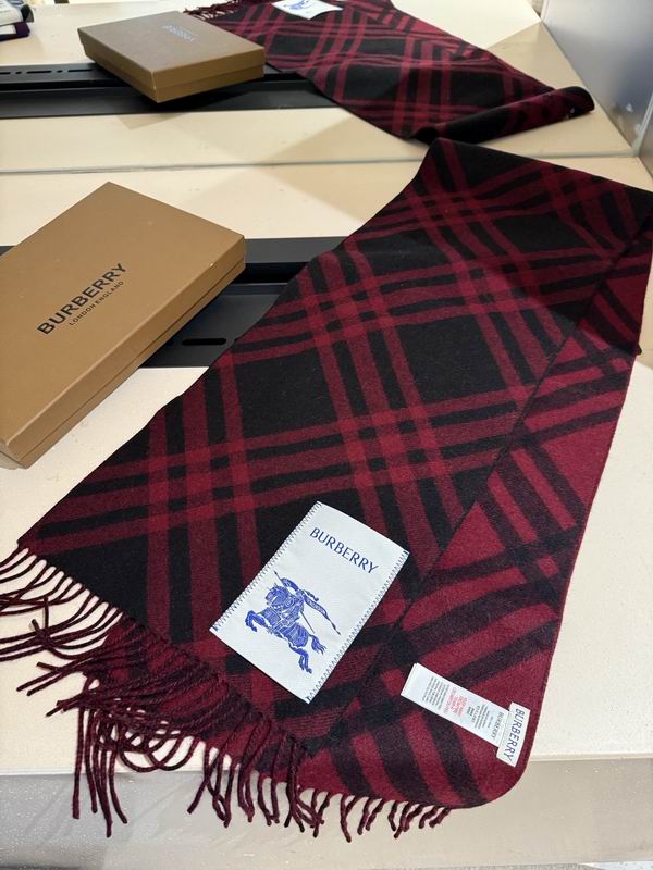 Burberry scarf 32X192cm E04 (21)