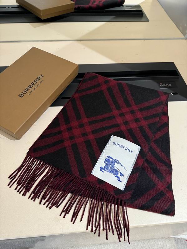 Burberry scarf 32X192cm E04 (22)