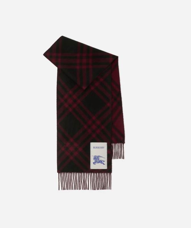Burberry scarf 32X192cm E04 (24)