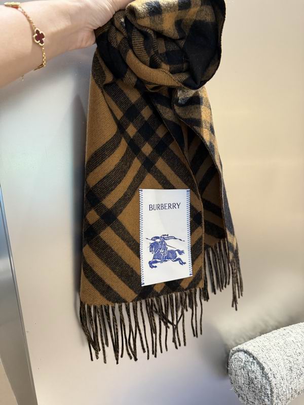 Burberry scarf 32X192cm E04 (27)