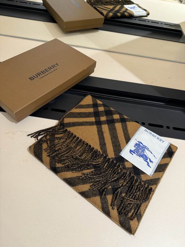 Burberry scarf 32X192cm E04 (32)