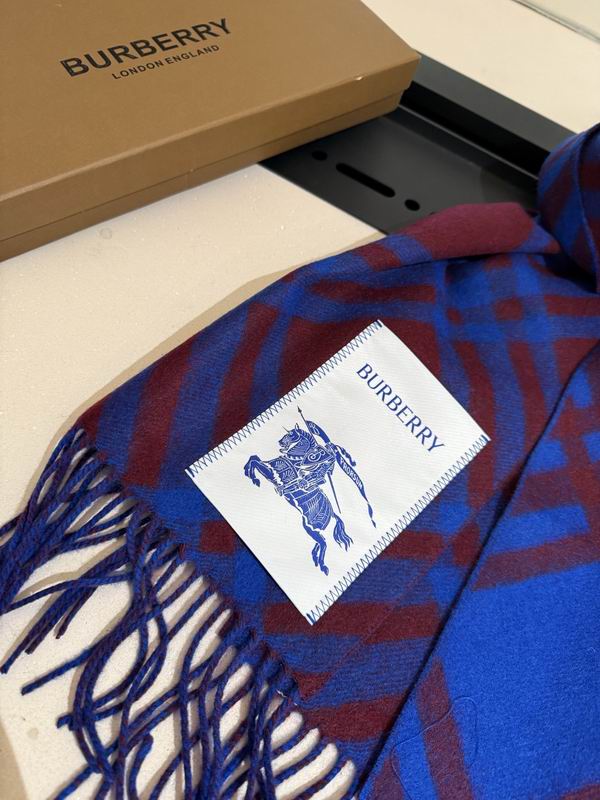 Burberry scarf 32X192cm E04 (37)