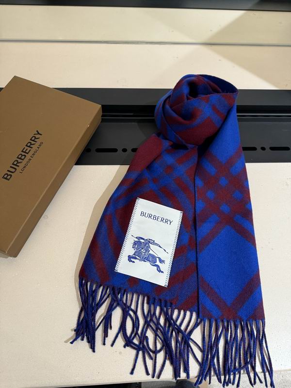 Burberry scarf 32X192cm E04 (38)