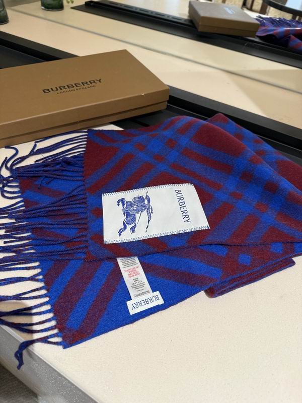 Burberry scarf 32X192cm E04 (41)