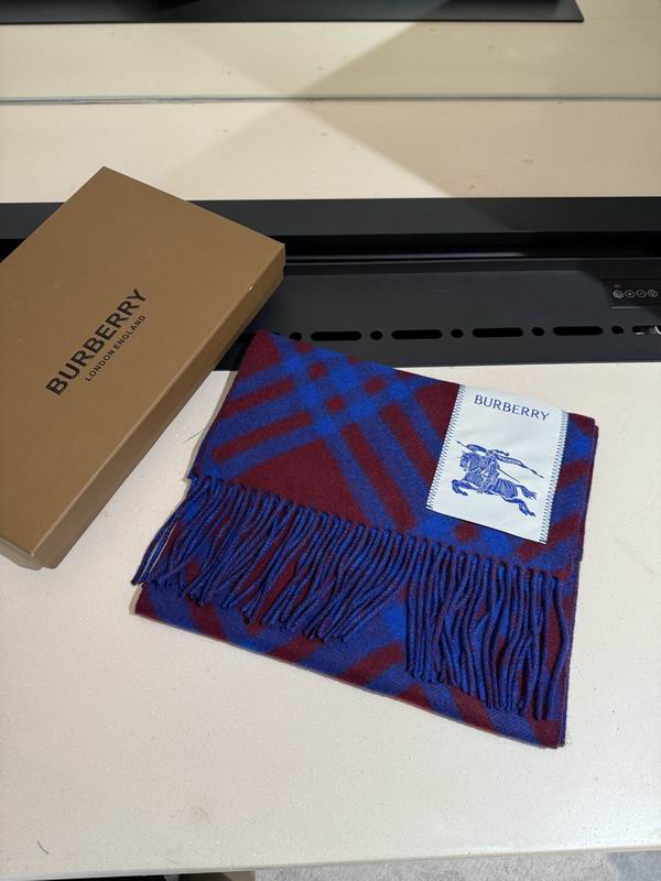 Burberry scarf 32X192cm E04 (43)