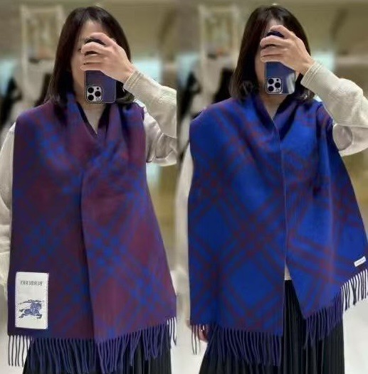 Burberry scarf 32X192cm E04 (44)