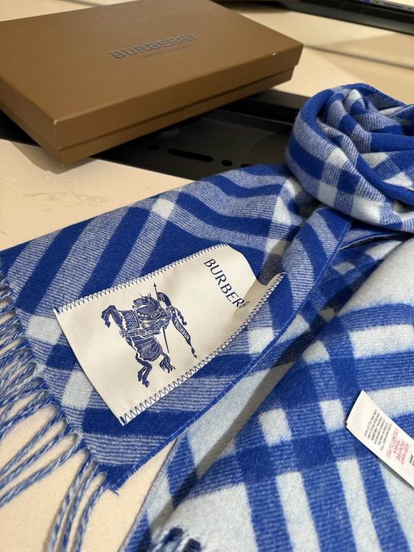 Burberry scarf 32X192cm E04 (9)