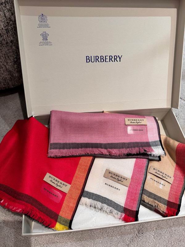 Burberry scarf 70X200cm E06 (1)