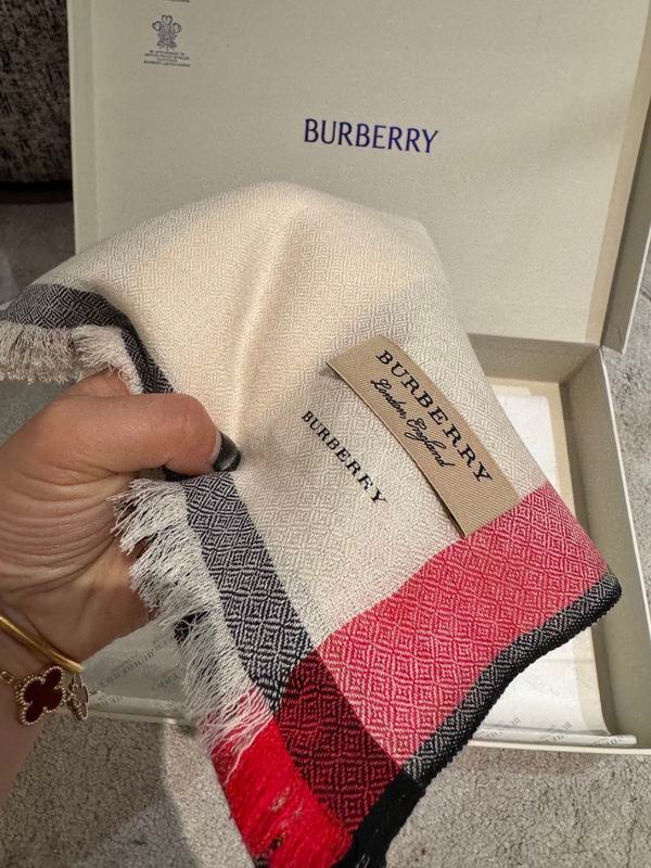 Burberry scarf 70X200cm E06 (14)
