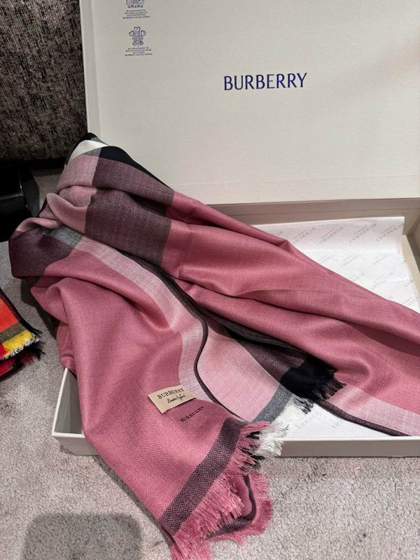 Burberry scarf 70X200cm E06 (19)