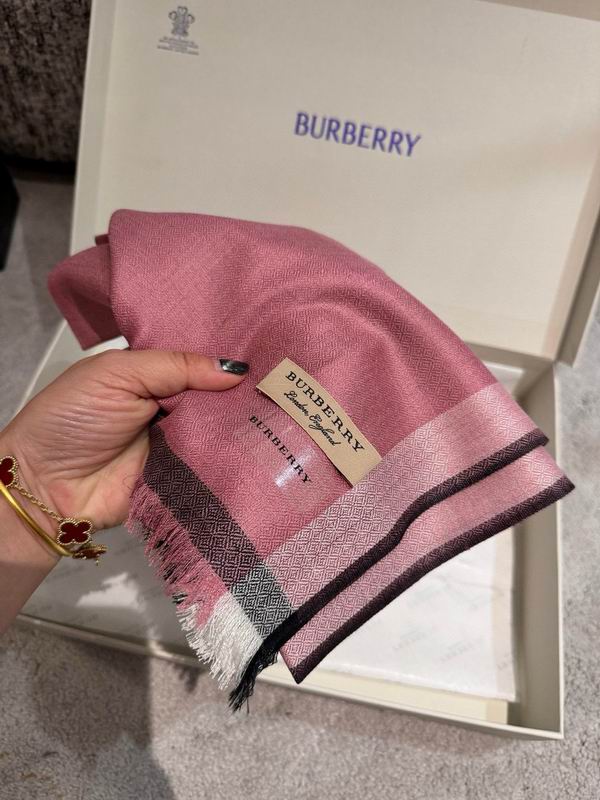 Burberry scarf 70X200cm E06 (21)