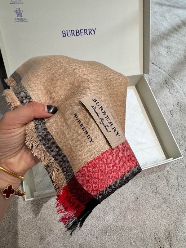 Burberry scarf 70X200cm E06 (6)