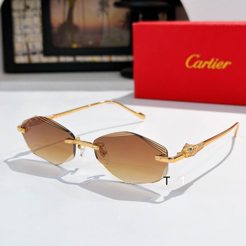 Cartier CT01847O 56 18-145 a03