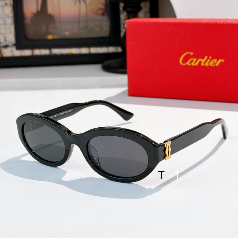 Cartier CT0588S 145 a05