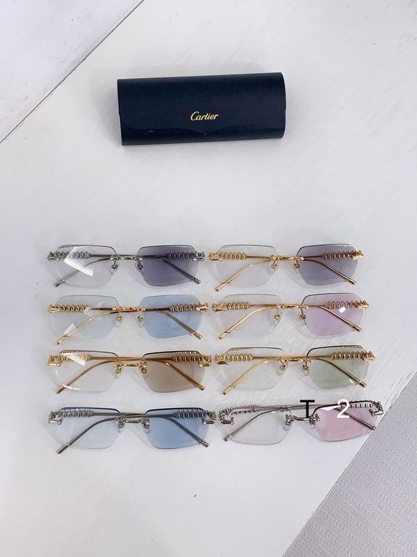 Cartier CT0736S b09