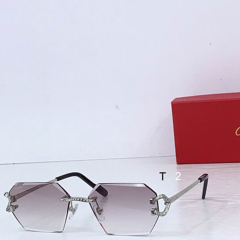 Cartier CT0770S b04