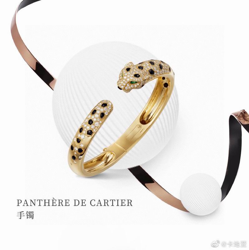 Cartier bracelet 10yxx02 (1)