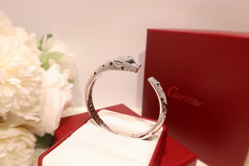 Cartier bracelet 10yxx02 (2)