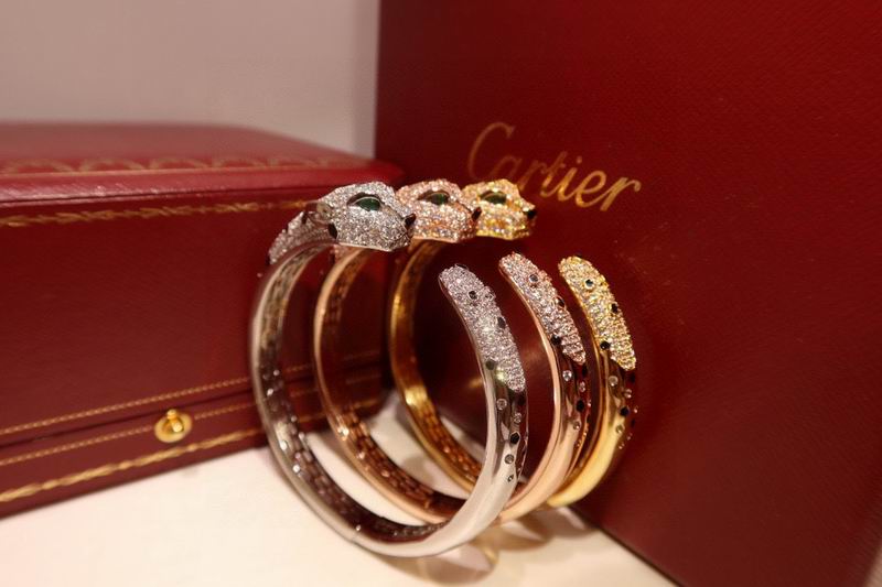 Cartier bracelet 10yxx02 (3)