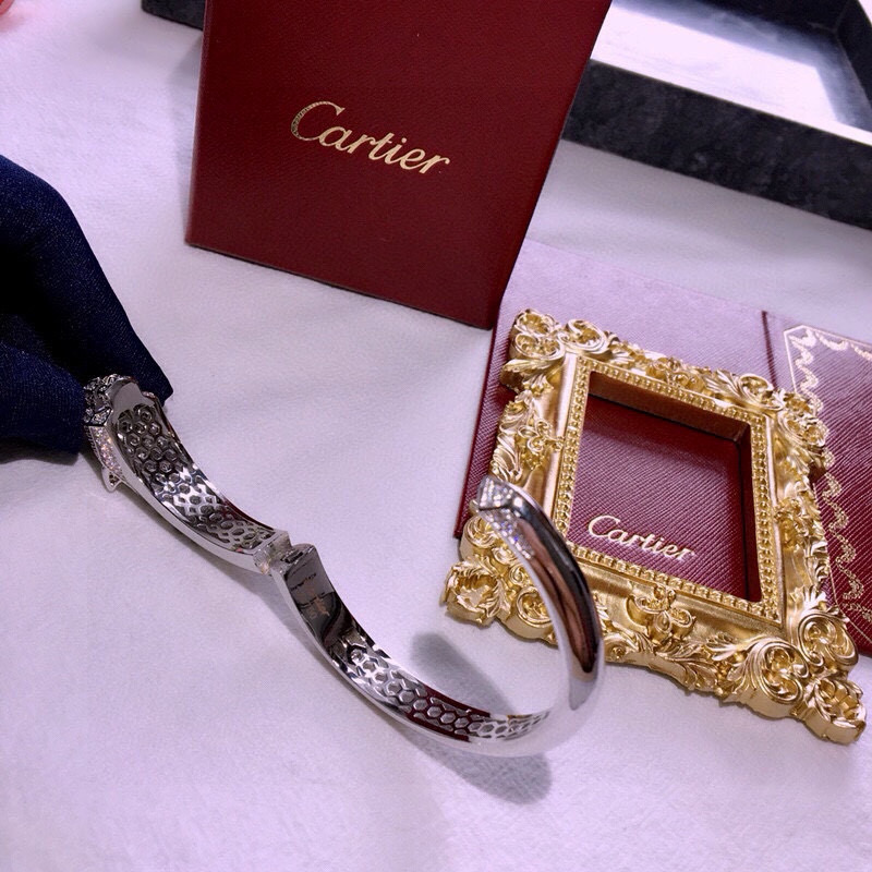 Cartier bracelet 10yxx24 (6)