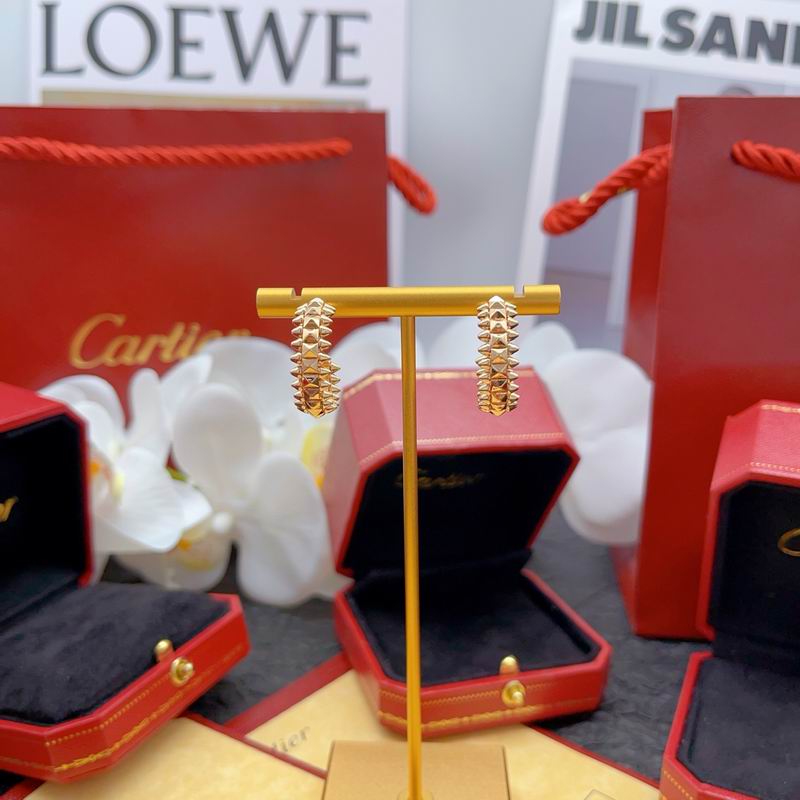 Cartier earring 10yxx02 (16)