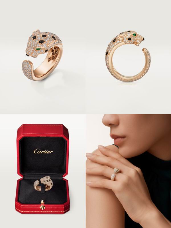 Cartier suits 10yxx01 (7)