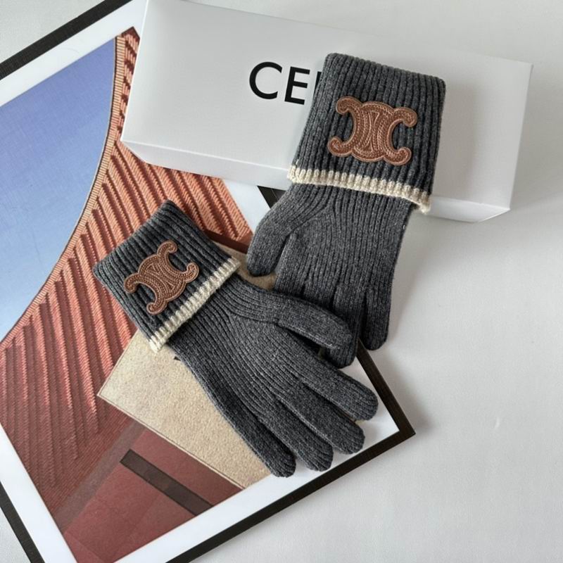 Celine Gloves 154 (25)