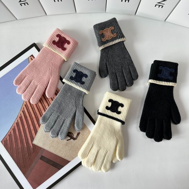 Celine Gloves 154 (3)