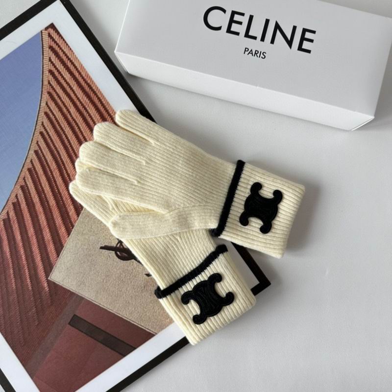 Celine Gloves 154 (31)