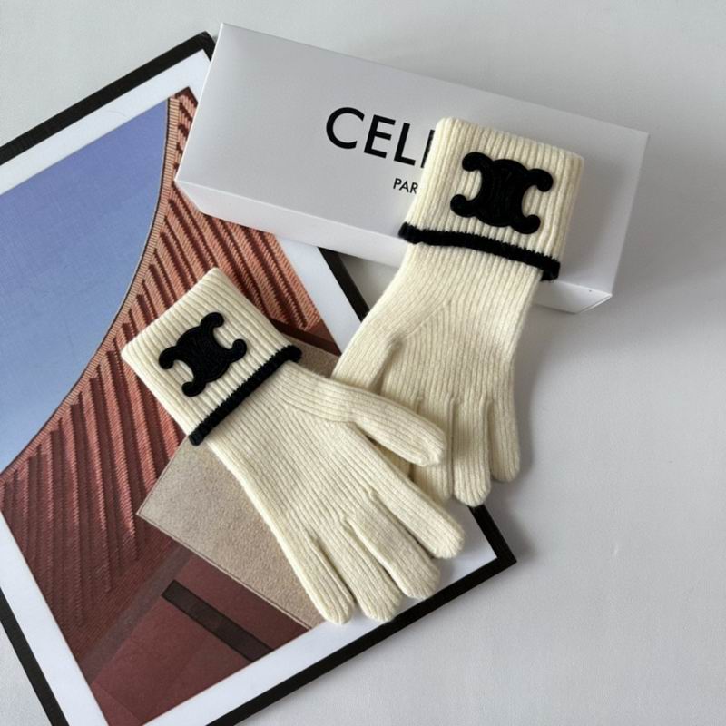 Celine Gloves 154 (34)