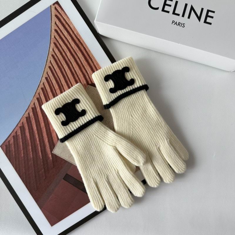 Celine Gloves 154 (36)