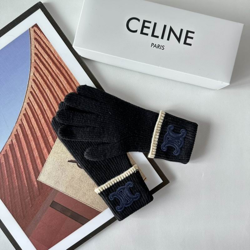 Celine Gloves 154 (42)