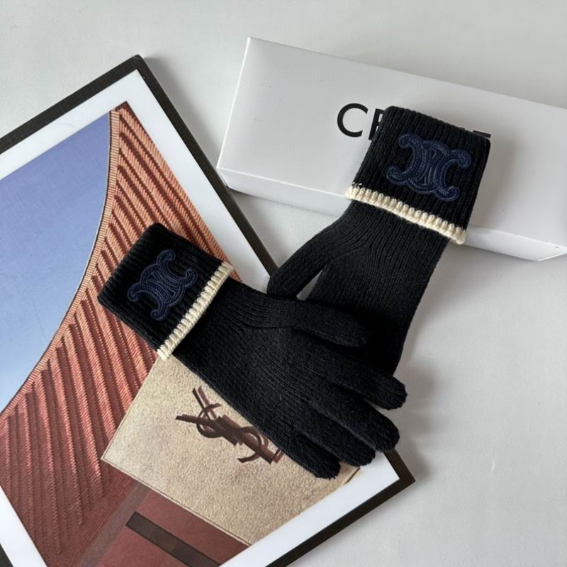 Celine Gloves 154 (44)
