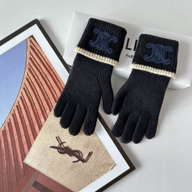 Celine Gloves 154 (45)