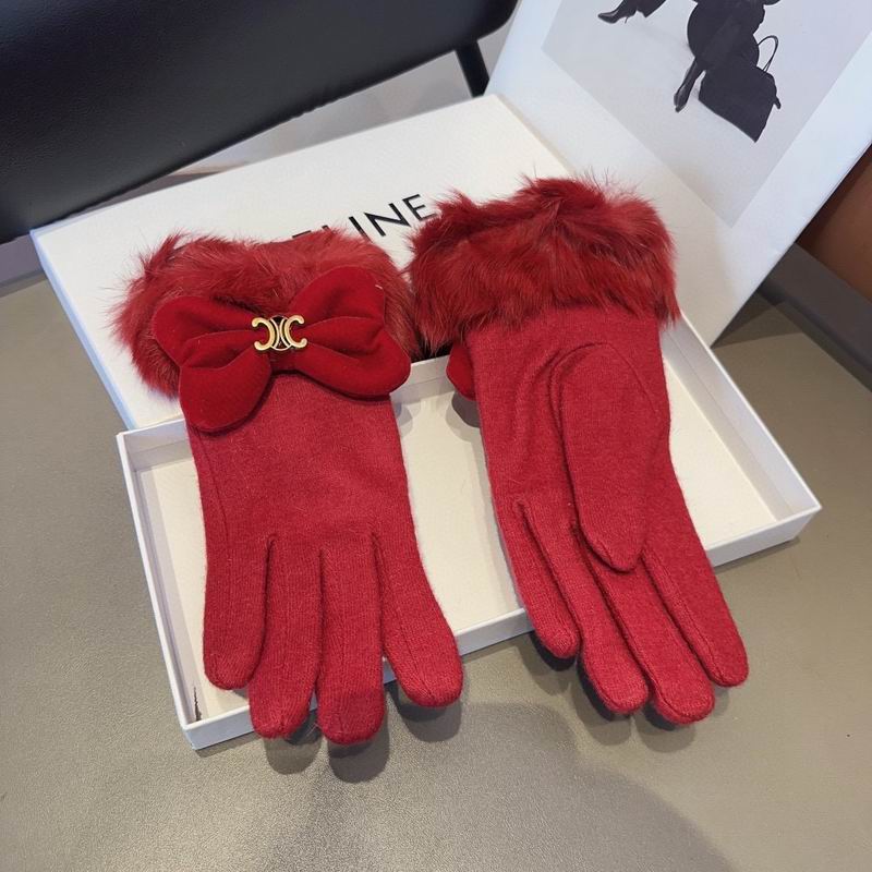 Celine Gloves 17 (4)