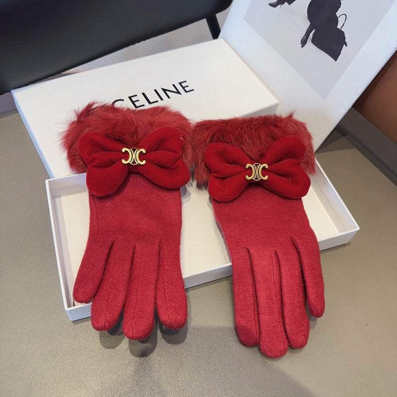 Celine Gloves 17 (5)