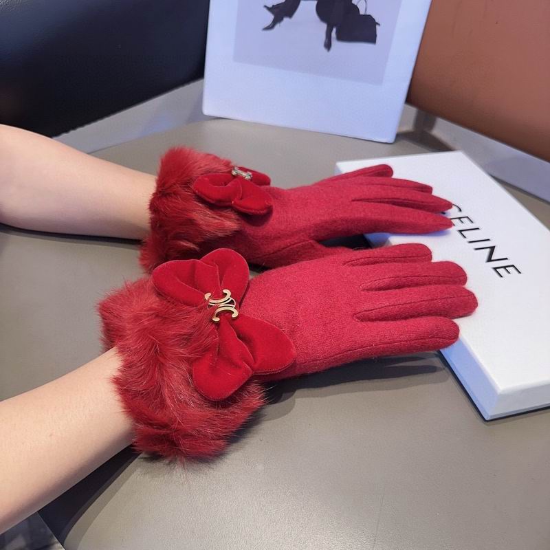 Celine Gloves 17 (8)