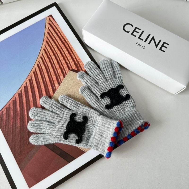 Celine gloves 130 (25)