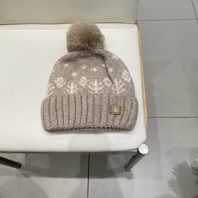 Celine hat (2199)